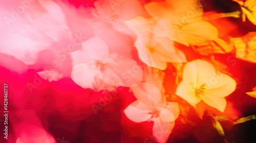 Vibrant, ethereal floral display in glowing hues.