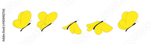 Butterfly flying. Summer insect with beautiful wings and antennae. Graceful delicate moth. Exotic tropical fauna, lepidoptera. Flat graphic vector illustration isolated on white background.