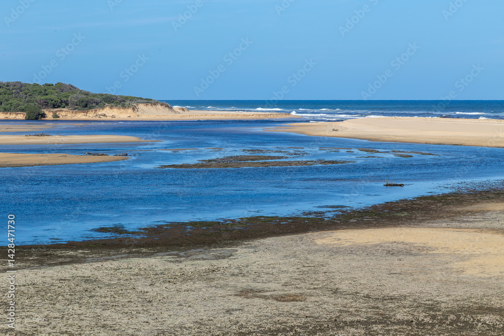 Obraz premium Lake Tyers Beach estuary after breaching the sand dune, with tidal flow between lake and Bass Strait, exposed sandbanks, coastal vegetation, and clear sky in Victoria, Australia.
