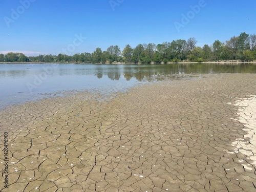 Фотография Dry bottom of a pond after heavy dry season
