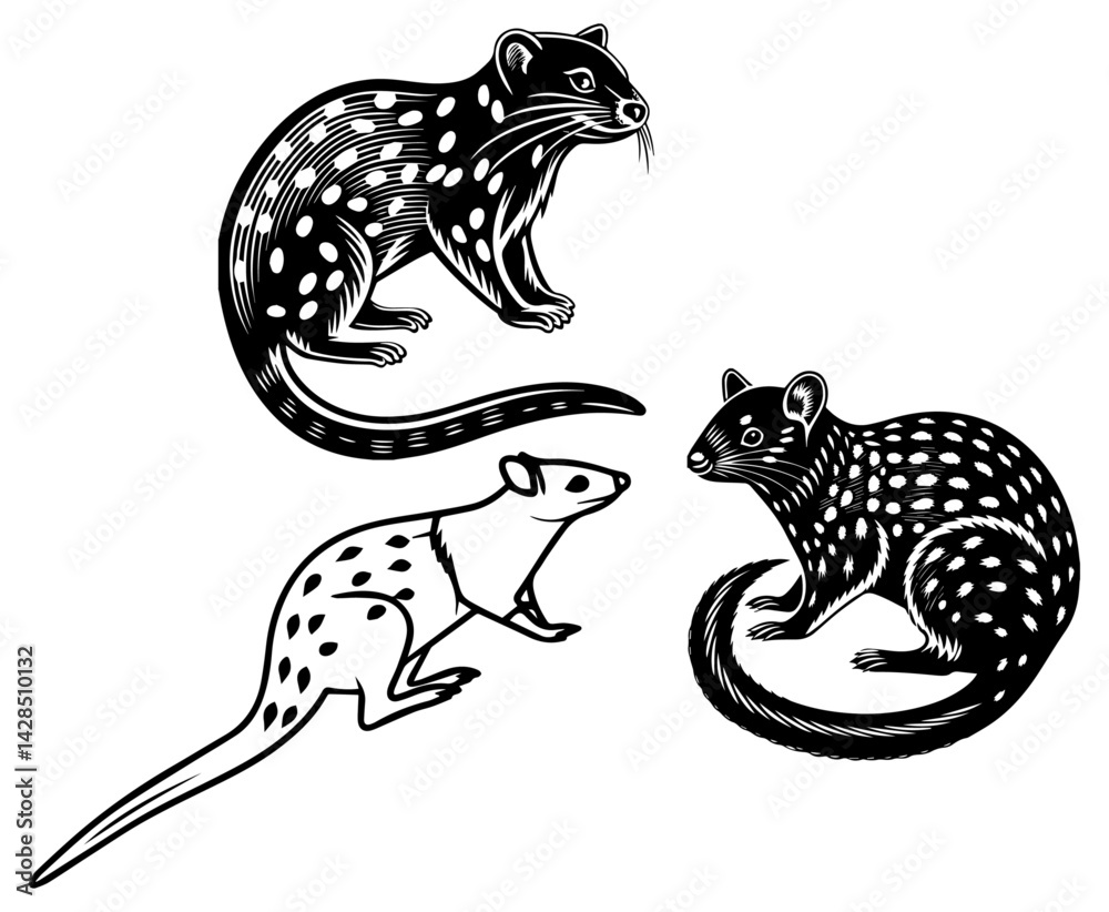 Dotted Shadows Dotted Shadows