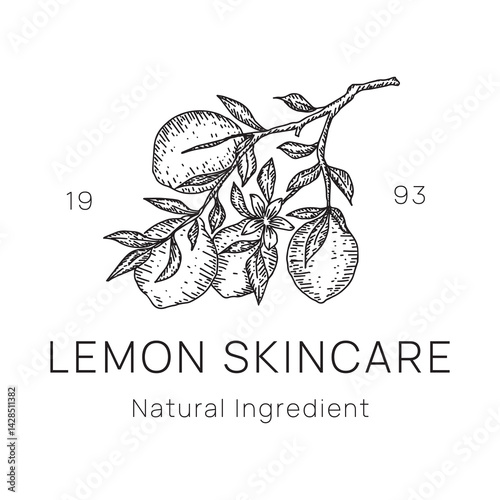Organic Lemon Logo Hand Drawn Style for Fresh Food Branding
