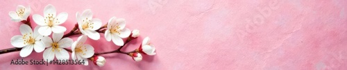 Subtle white blossoms on textured pink paper  Calming, artistic feel , wedding, pretty, background