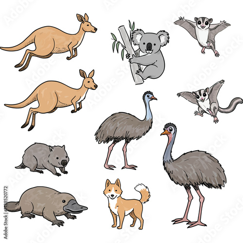 Australian animals collection including kangaroo, koala, emu, platypus, dingo, and sugar glider vector illustration 