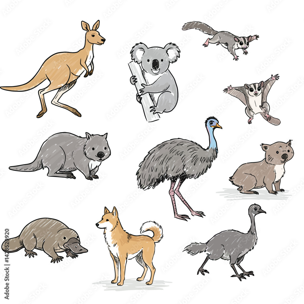 Obraz premium Australian wildlife collection with kangaroo koala emu wombat dingo and platypus vector illustration 