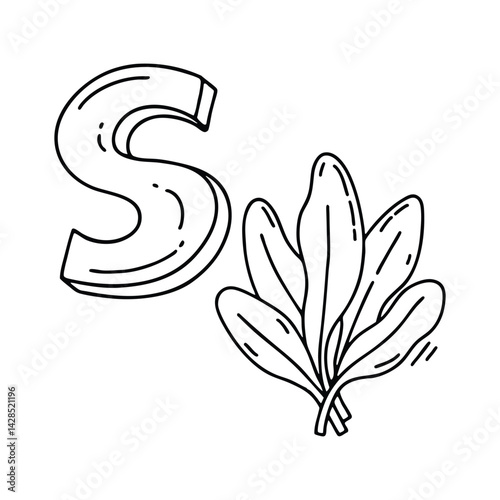 An illustration of letter S stand for Sorrel