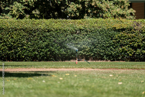 Obraz na płótnie water sprinkler in a garden in australia w salonie