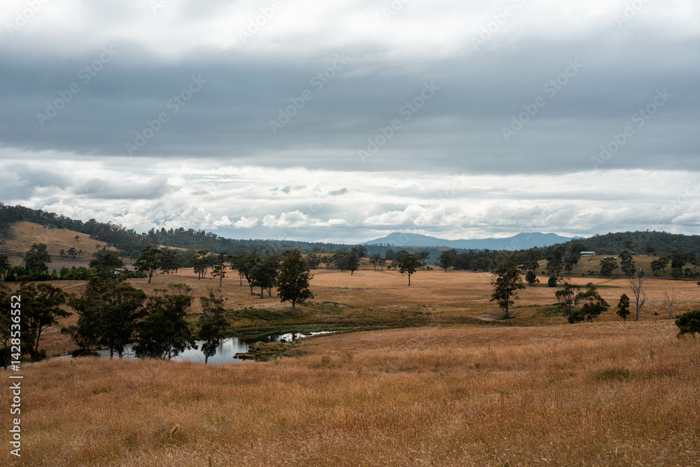 farm with a water dam and pasture