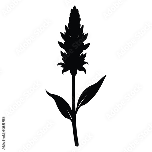 broomrape flower silhouette vector on white background