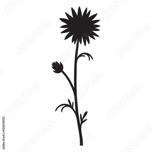 calendula  hand drawing illustration silhouette