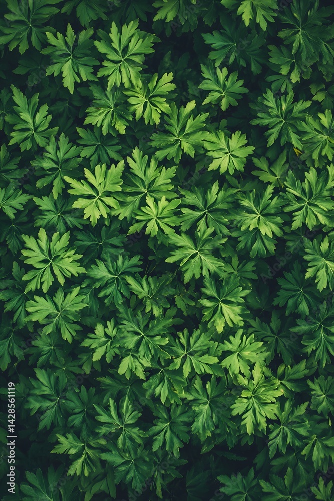 Lush Green Foliage Background Dense Leaf Texture Lush Green Foliage Background Dense Leaf Texture