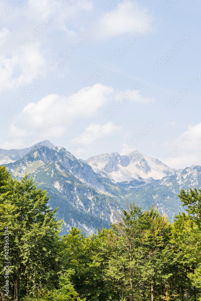 Fototapeta premium Mountain landscape near Bohinj in Triglav National Park in Slovenia during summertime