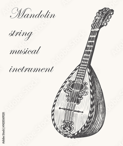 Hand drawing of ancient mandolin, string musical instrument, vector illustration isolated, lettering