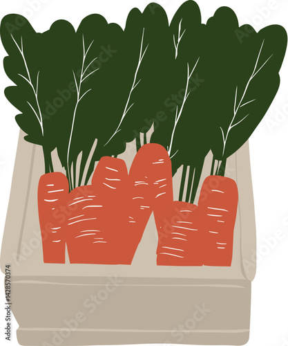 Hand-Drawn Carrot Market Vegetables