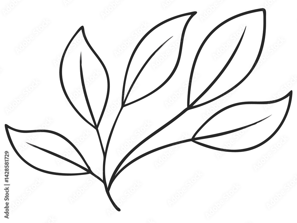 Elegant Botanical Elements with Leaves and Flowers in Fine Line Art Elegant Botanical Elements with Leaves and Flowers in Fine Line Art