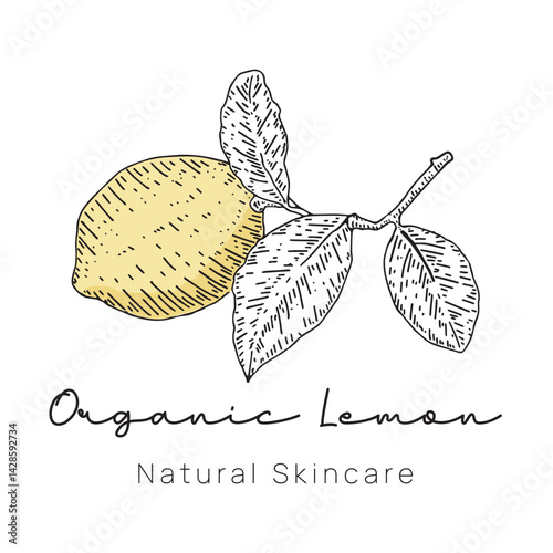Organic Lemon Logo Hand Drawn Style for Fresh Food Branding