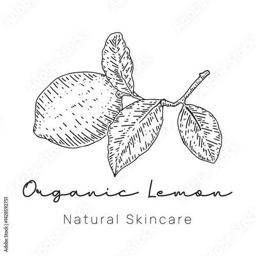 Organic Lemon Logo Hand Drawn Style for Fresh Food Branding