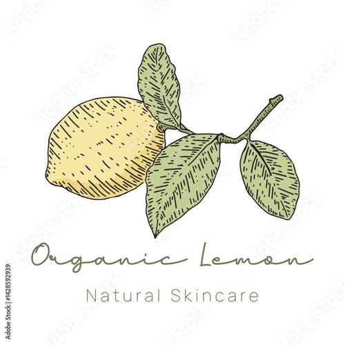 Organic Lemon Logo Hand Drawn Style for Fresh Food Branding
