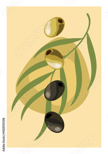 Hand drawn abstract poster with olives and black olives and green branch on beige background. Vector flat illustration. Design template, logo, posters, invitation, greeting card
