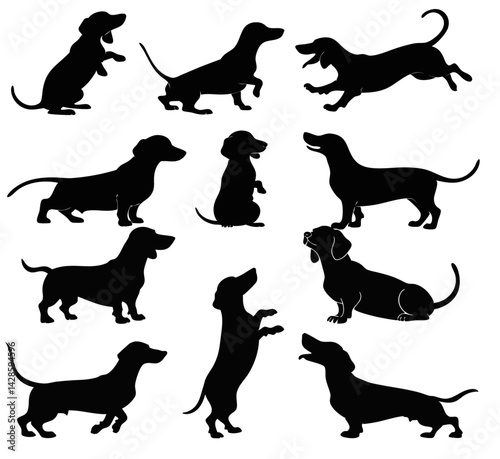 Dachshund Silhouette Dogs Set – Cute and Iconic Wiener Dog Outlines in Black and White for Pet Lover Graphics, Dog Breeder Branding, and Animal-Themed Designs