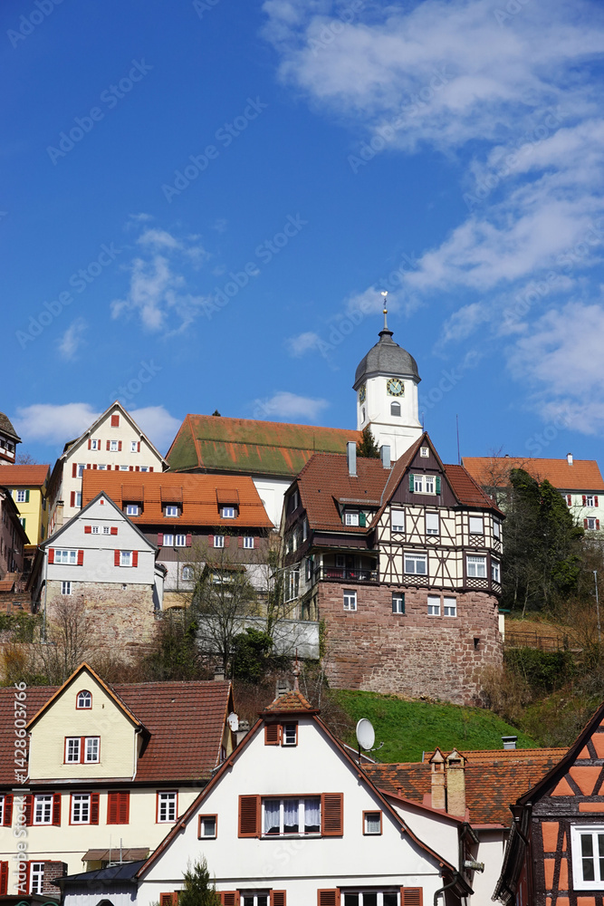 The view of Altensteig town, in Calw district, Black forest in Germany