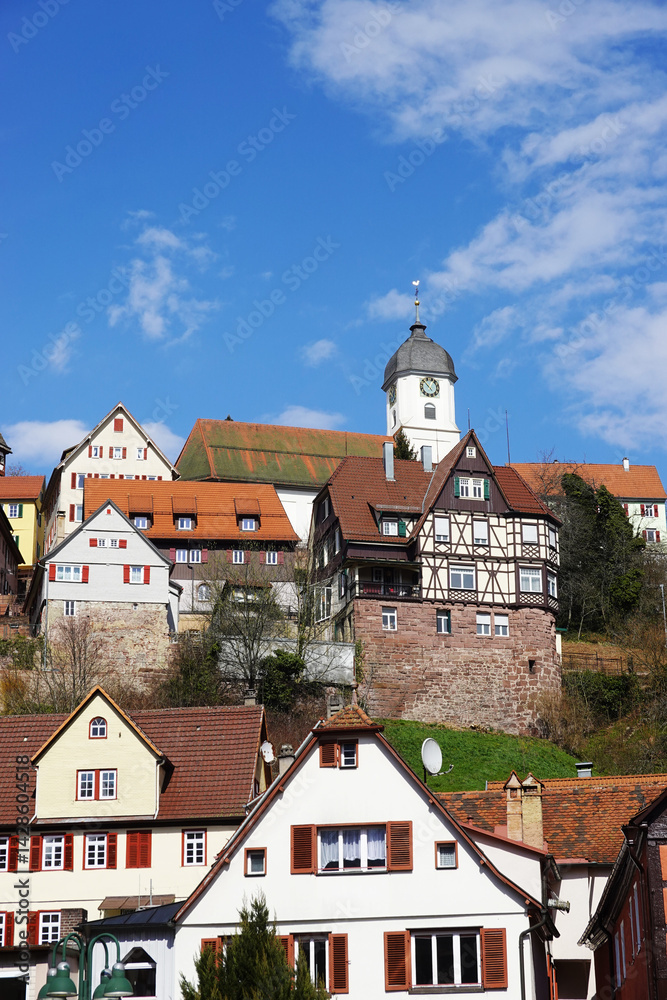 The view of Altensteig town, in Calw district, Black forest in Germany