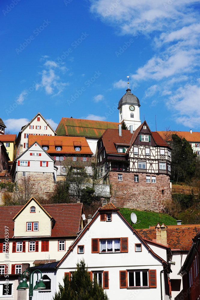 The view of Altensteig town, in Calw district, Black forest in Germany
