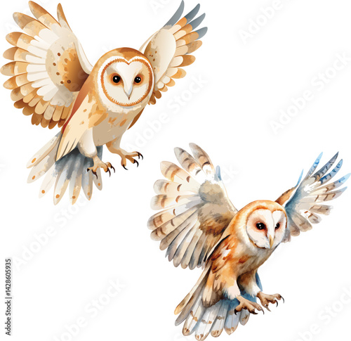 Two owls flying in the air