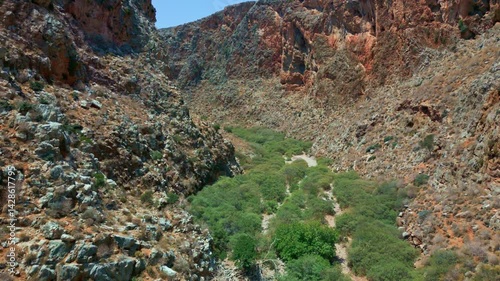 Green vegetation following the dry riverbed through Zakros Gorge, Crete. Aerial climbing