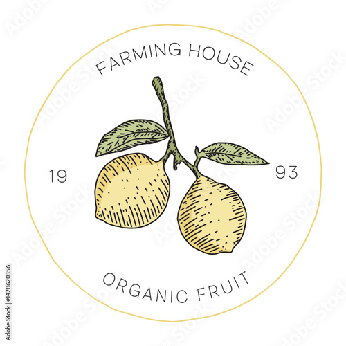 Organic Lemon Logo Hand Drawn Style for Fresh Food Branding