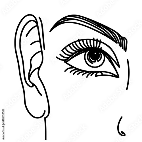 Eye and Ear Line Art Illustration  