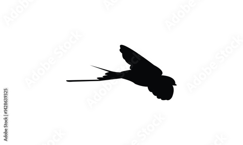 Flying African red rumped swallow bird Silhouette Design  And Vector Illustration. 