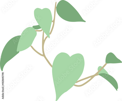 vector illustration of vine leaves