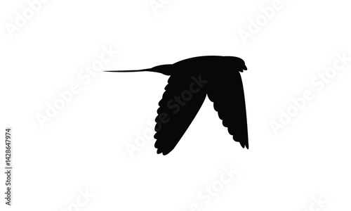 Flying African red rumped swallow bird Silhouette Design  And Vector Illustration. 