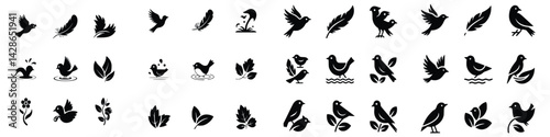 Collection of bird vector silhouettes with feathers and leaves elements
