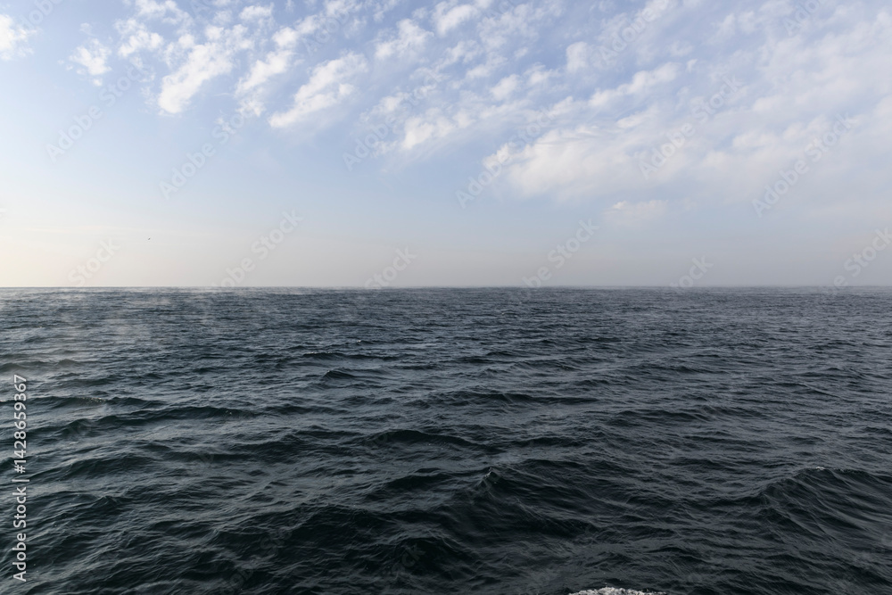 Obraz premium Sea and Beautiful seascape - waves and sky with clouds. Winter sea.