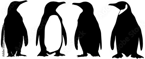 Set of Penguin silhouettes, isolated 