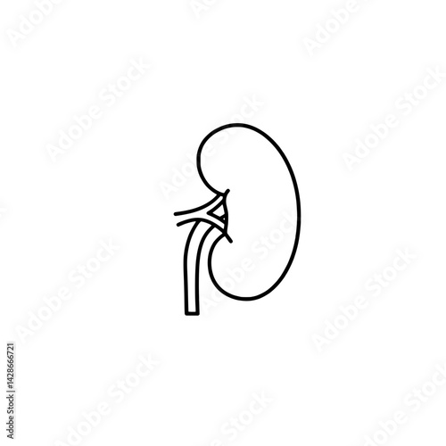 An icon of a human kidney in a minimalist style embodying the concept of health and anatomy