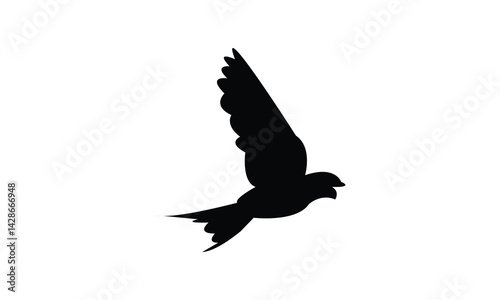 Flying African red rumped swallow bird Silhouette Design  And Vector Illustration. 