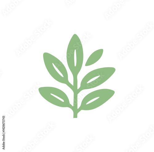 green leaf isolated on white background