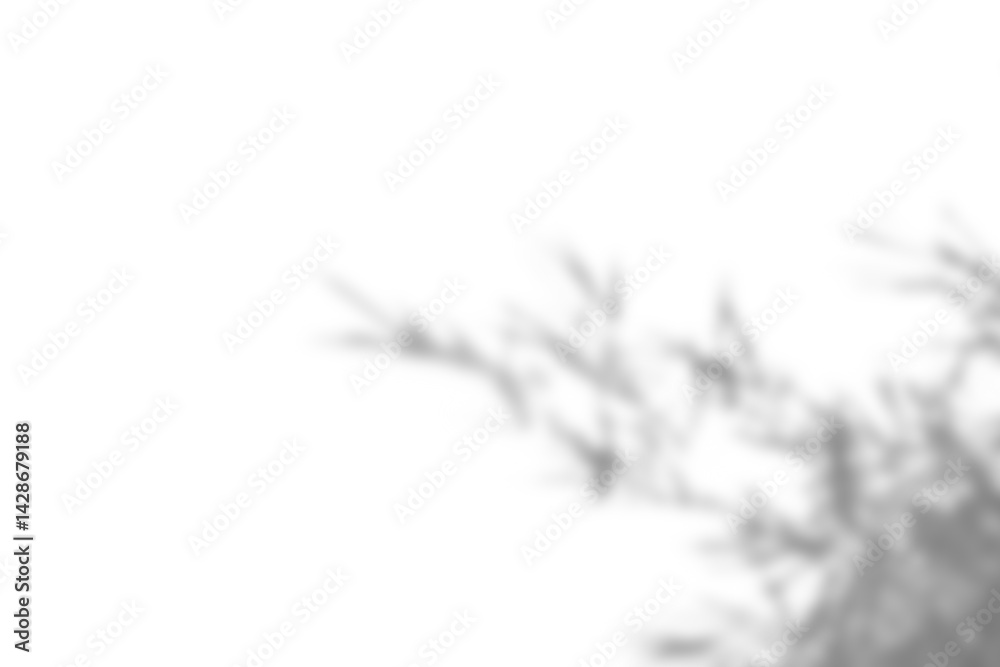 Fototapeta premium Realistic blurred branch with soft leaf shadows creates natural overlay effect, perfect for spring or summer product display mockups. plant foliage adds design elements for creative projects