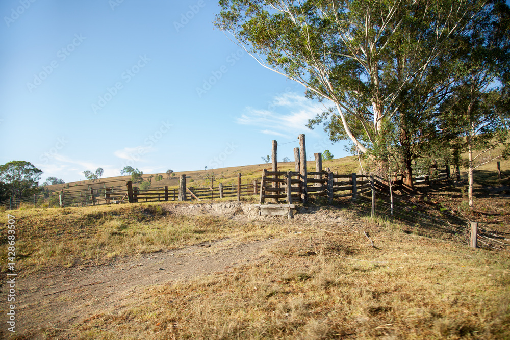 Rural view of stockyards with hill and trees in the background Rural view of stockyards with hill and trees in the background
