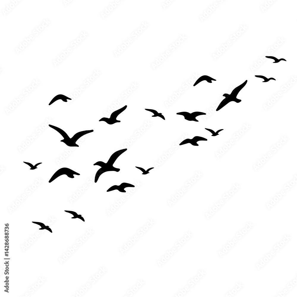 Fototapeta premium flock of birds