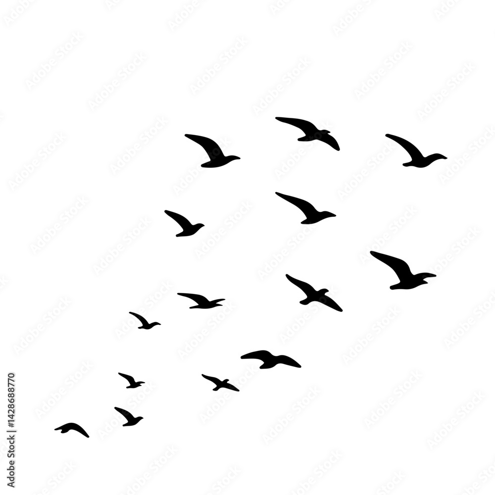 flock of birds flying flock of birds flying