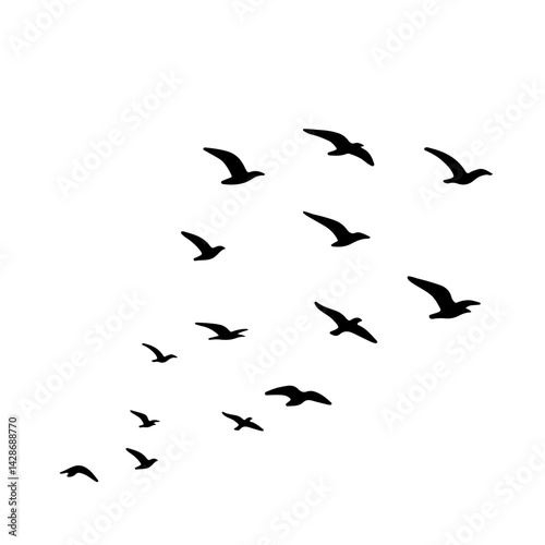 flock of birds flying