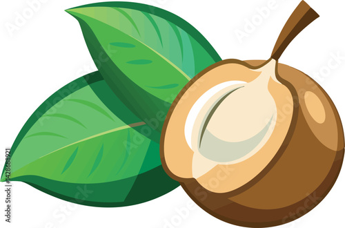 A vibrant vector art illustration showcasing a delicious sapodilla fruit, sliced and whole, with rich colors and realistic juicy textures