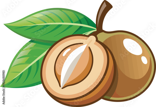 A vibrant vector art illustration showcasing a delicious sapodilla fruit, sliced and whole, with rich colors and realistic juicy textures