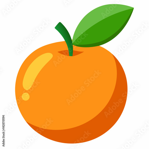 orange fruit vector illustration