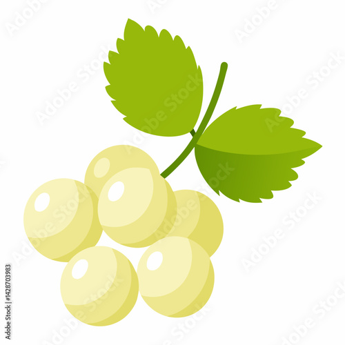 grapes isolated on white