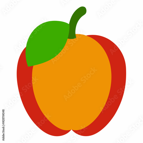 vector illustration of an orange fruit
